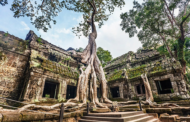 Angkor Wat Tour & Best Local Food Experience