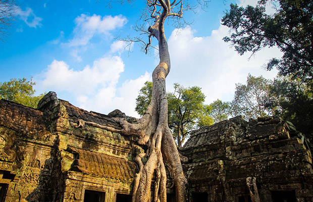 Angkor Wat Tour & Best Local Food Experience