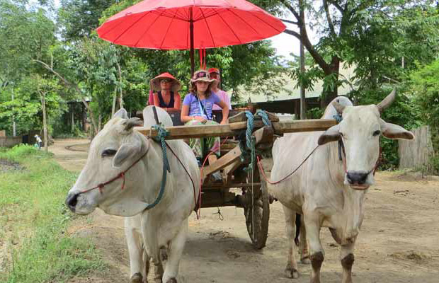 Ox-Cart Riding Tour Through Villages in Countryside